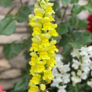 Meet your Posher, Jairo